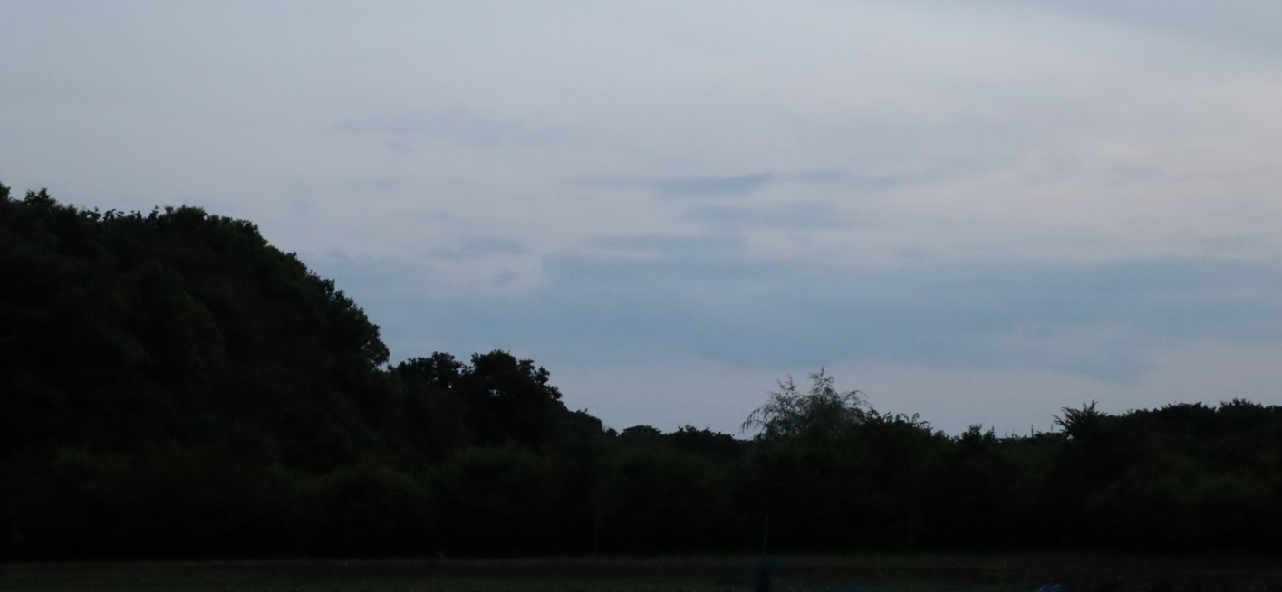 ヤナギ林周辺の日暮れ_2023年6月13日19時25分 気温22.3度